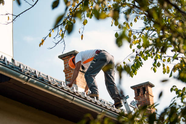 Quick and Trustworthy Emergency Roof Repair Services in Homeland, CA