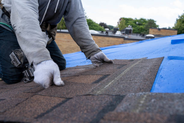 Best Roof Leak Repair  in Homeland, CA