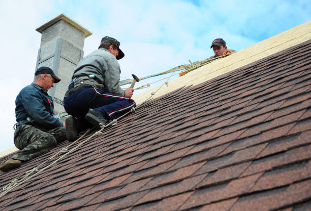 Best Local Roofing Companies  in Homeland, CA
